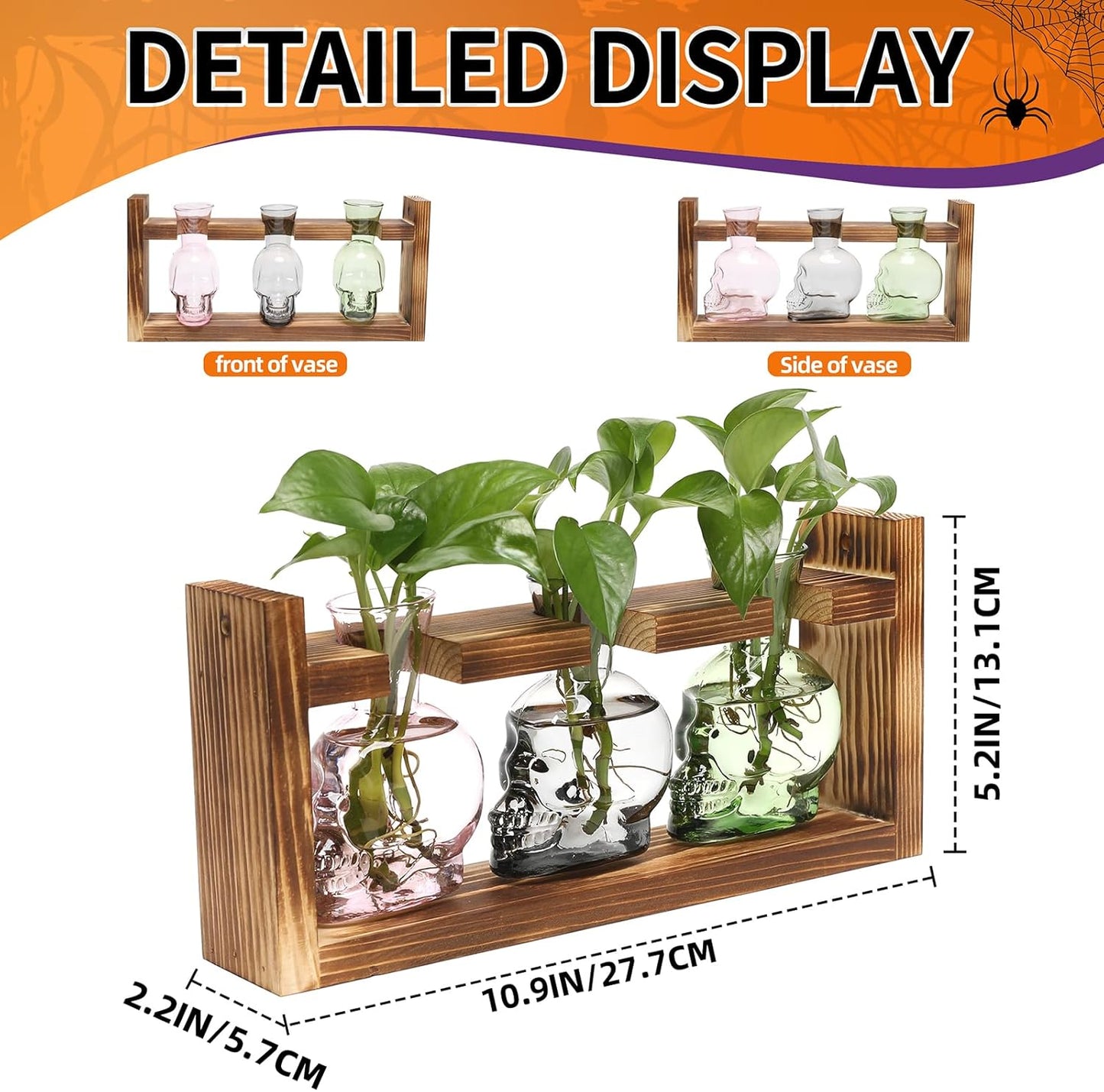 Plant Terrarium Propagation Stations Hydroponics Halloween Skull Planter Vase Skulls Decor with Wooden Stand Gife for Father