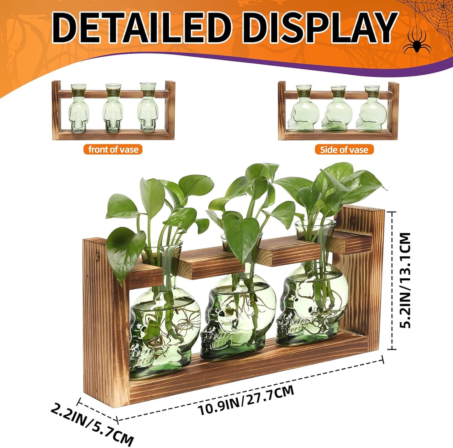 Plant Terrarium Propagation Stations Hydroponics Halloween Skull Planter Vase Skulls Decor with Wooden Stand Gift for Father