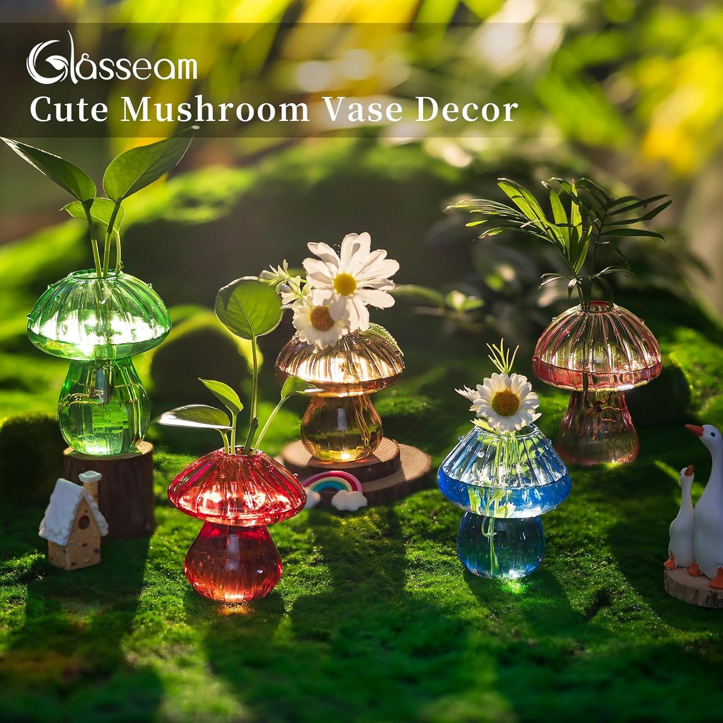 Glasseam Mushroom Plant Propagation Stations: Glass Terrarium Jars with Wood Stand - Unique Hydroponic Planters for Indoor Plants, Office Decor - 5 Pcs