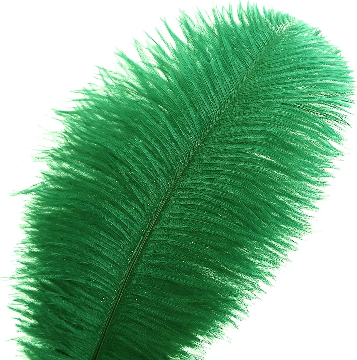 Ballinger Large Green Ostrich Feathers - 24pcs 12-14inch Long Feathers for Vase, Wedding Party Centerpieces Mardi Gras Decorations and Home Decor…