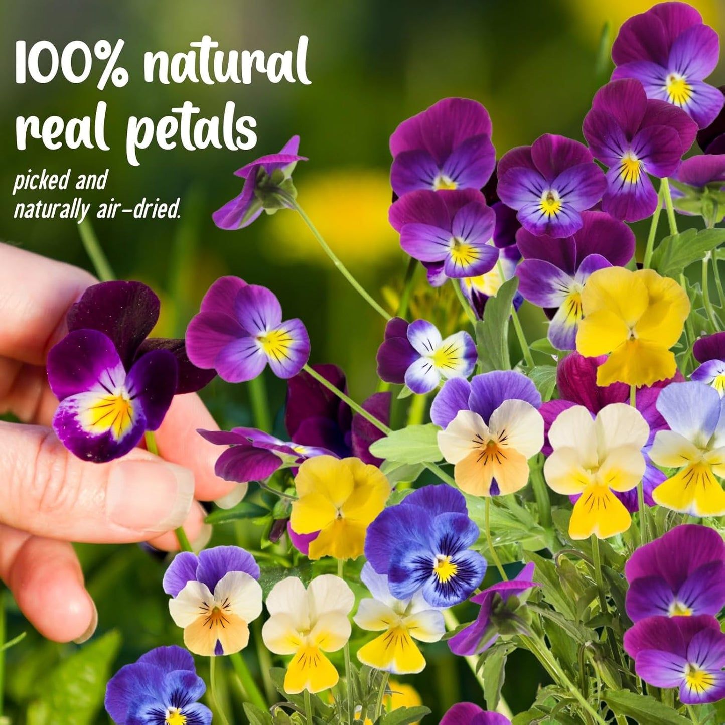 70 Pcs 8 Kinds Natural Dried Pressed Edible Flowers for Cake Topper Decorating - Mix Viola Tricolor for Cupcake Toppers, Cocktails, Resin Jewelry Making, DIY Art Crafts