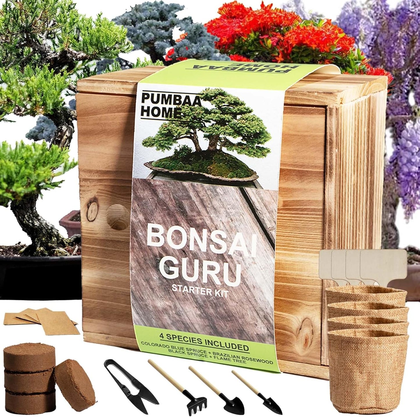 Bonsai Tree Kit with 4 Types of Seeds, Organic Coco Coir Bricks, Bonsai Pot, Plant Markers, Bonsai Tools, Bonsai Starter Kit with Japanese Style Wooden Gift Box, DIY Growing Kit, Cool Gifts for Men