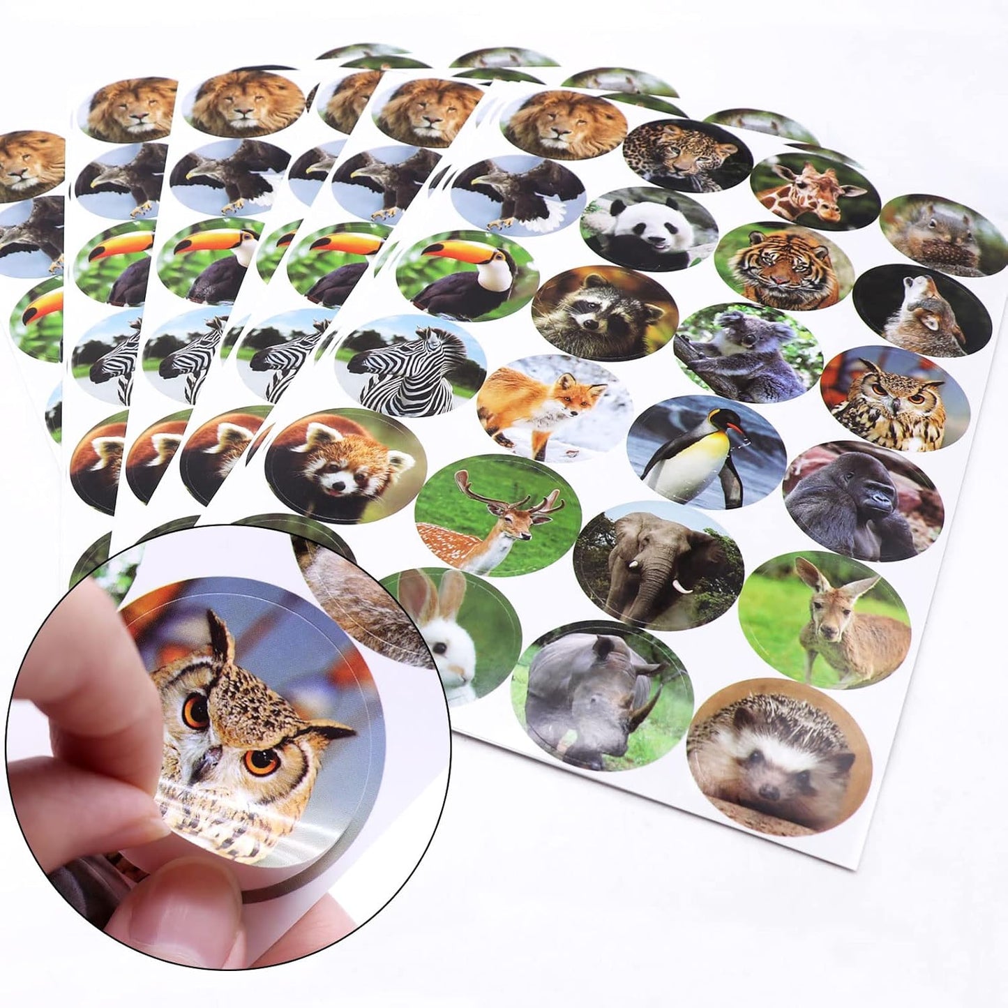 480 Counts Cute Jungle Zoo Wild Animal Stickers 1.5 Round Adhesive Labels Stickers for Baby Shower Wild One Birthday Party Favors Goodie Gift Bag Invitation Envelope Sealing Birthday Card Wrap Decor
