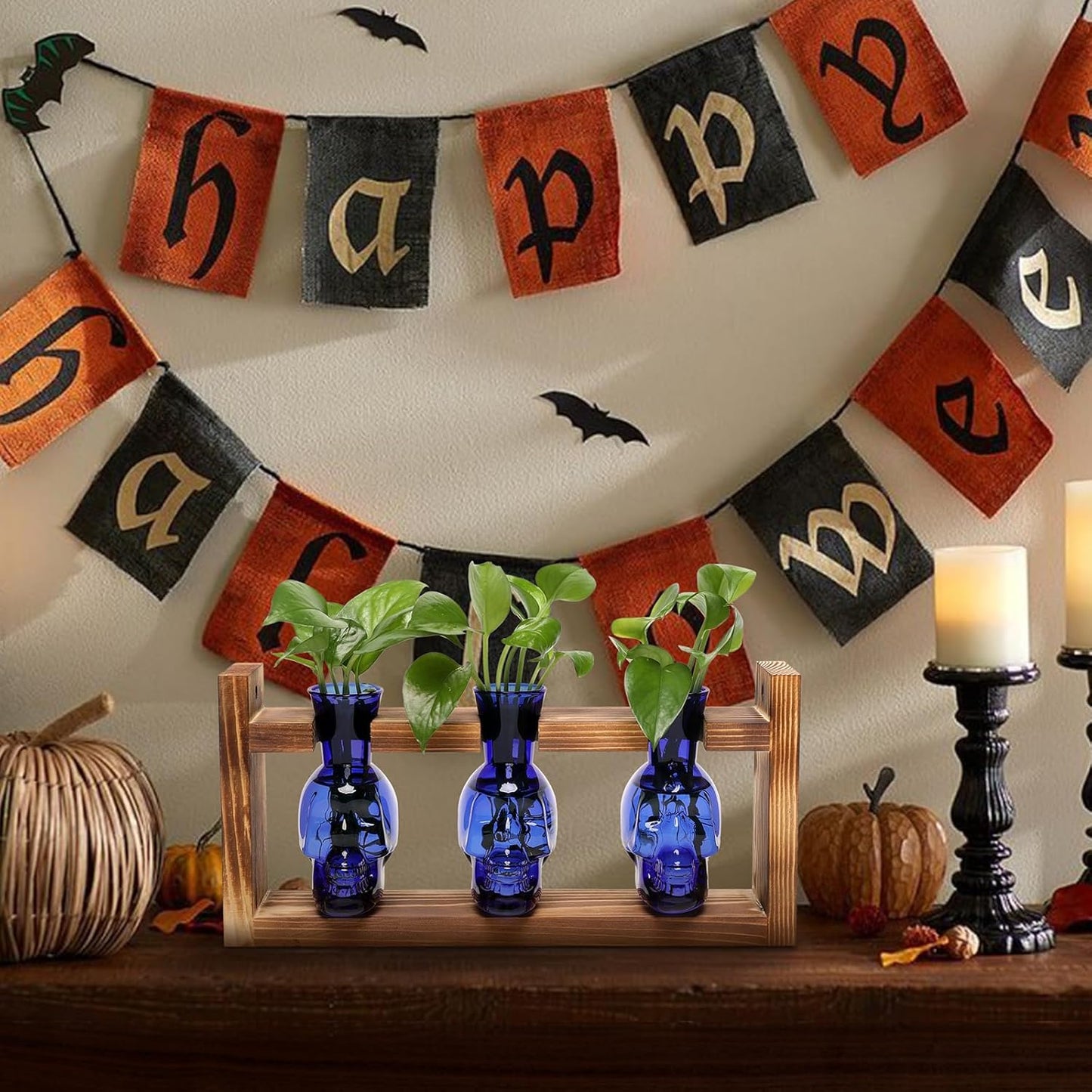 Plant Terrarium Propagation Stations Hydroponics Halloween Skull Planter Vase Skulls Decor with Wooden Stand Gift for Father