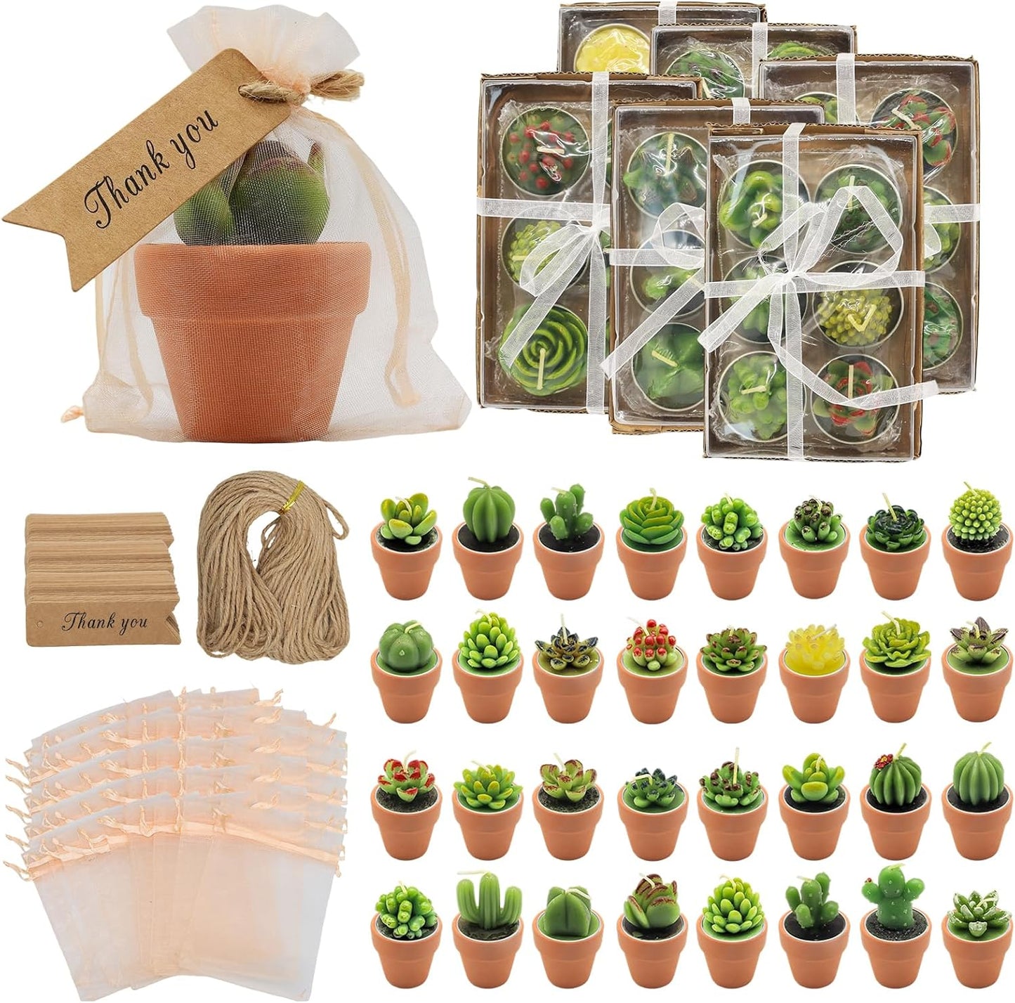 AZEAM 36 Pcs Succulent Candles Party Favors, Bulk Cactus Table Decor with Mini Terracotta Holders, Tiny Handmade Plant Tealights Candle Decoration for Baby Shower Bridal Game Wedding Home Birthday