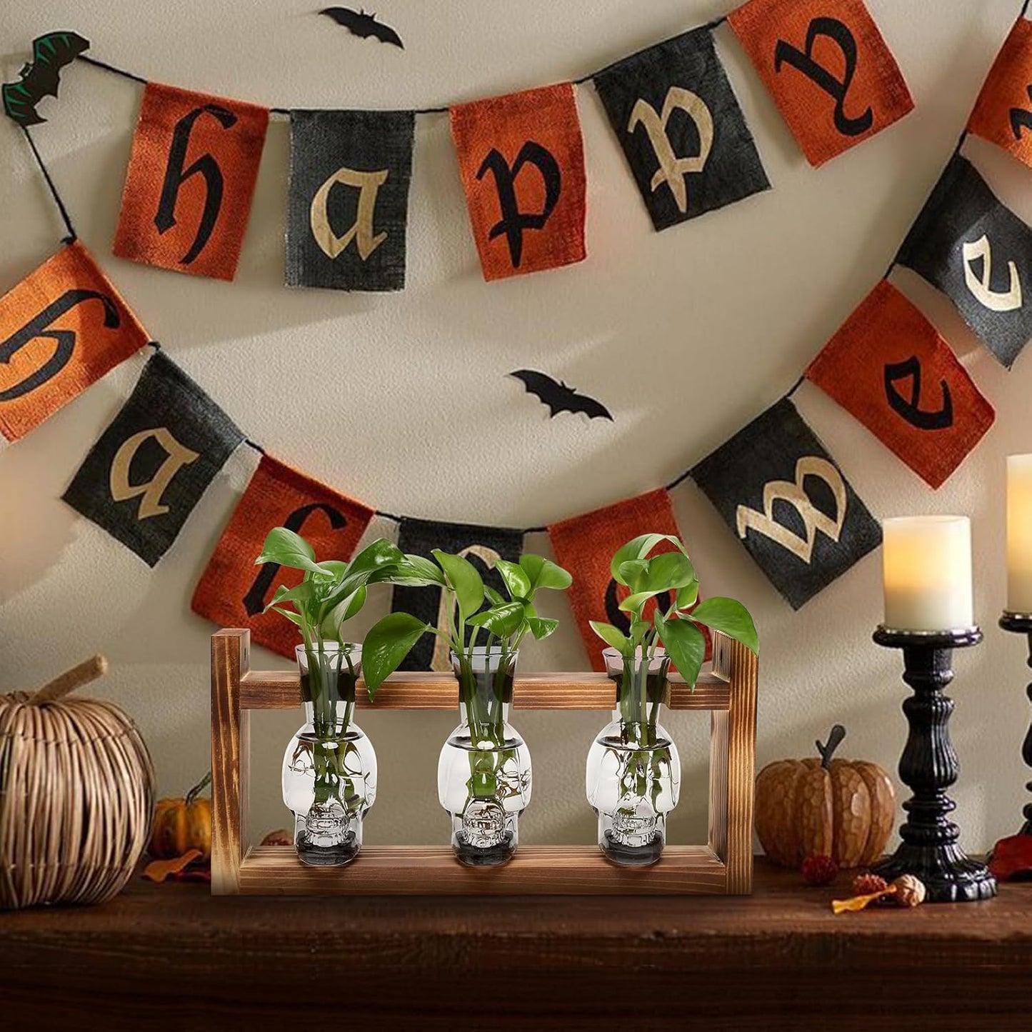 Plant Terrarium Propagation Stations Hydroponics Halloween Skull Planter Vase Skulls Decor with Wooden Stand Gife for Father