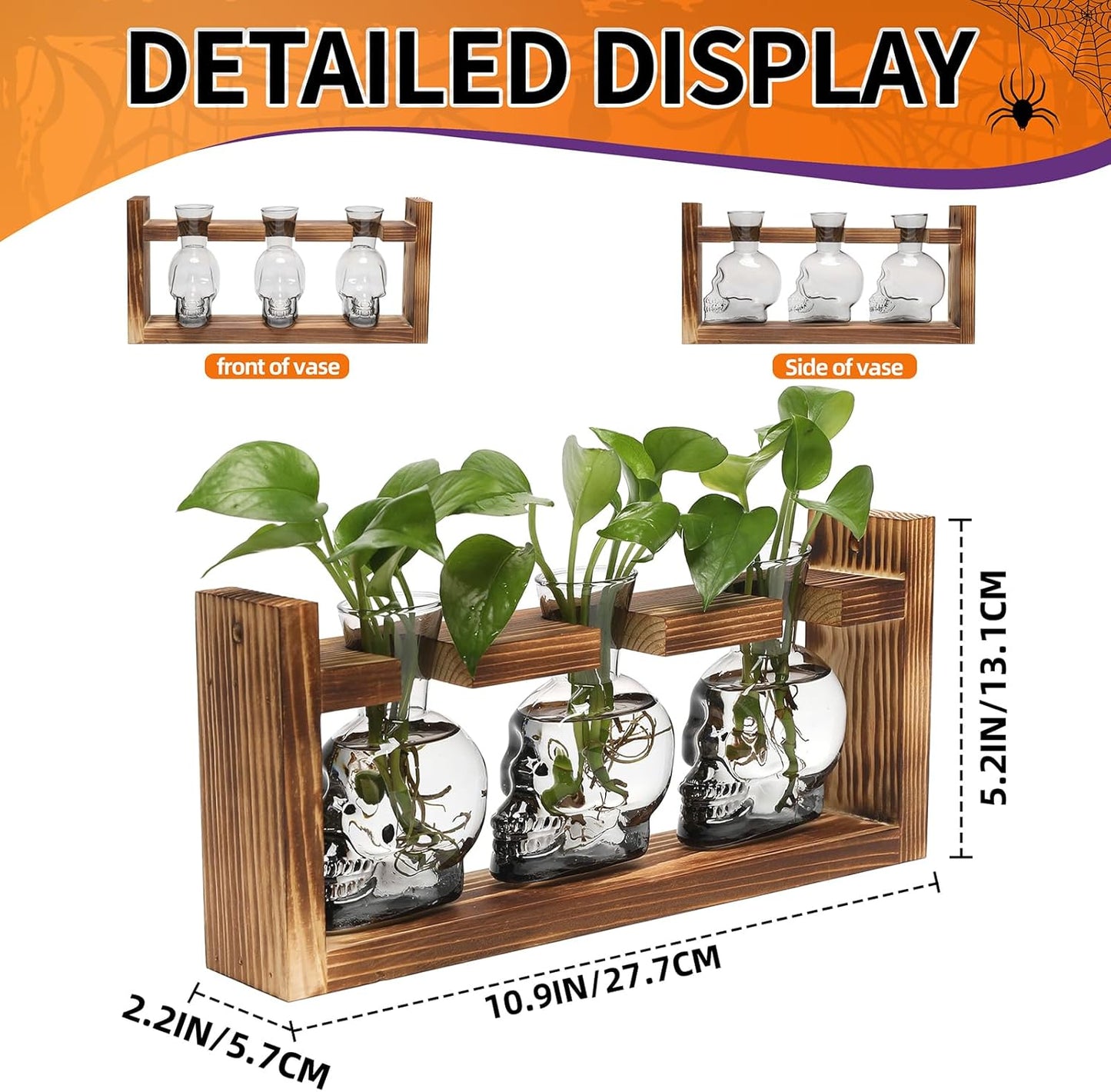 Plant Terrarium Propagation Stations Hydroponics Halloween Skull Planter Vase Skulls Decor with Wooden Stand Gife for Father