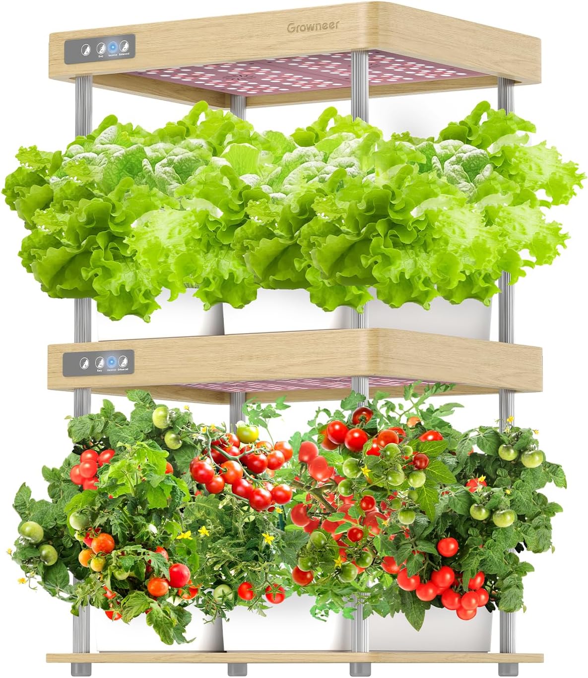GROWNEER HydroEasy1.0 Hydroponics Growing System Kit, Beginner-Friendly Indoor Garden for Vegetable Fruit Herb, Solid Wood Design, Perfect Gift Idea, Full-Spectrum LED Lights for Maximum Growth