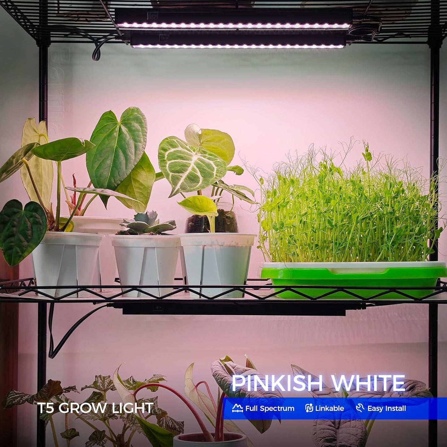 Barrina 1ft Grow Lights for Indoor Plants Full Spectrum, LED Grow Lamp with Black Cover, T5 Grow Light Strip, Under Cabinet Grow Light with Switch Cord, Plug and Play, Linkable, Pinkish White, 4 Packs