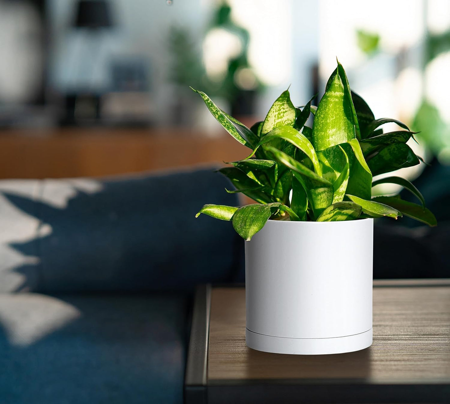 D'vine Dev 4 Pack 5.5 Inch Modern Plastic Plant Pots, Small Garden Planters for Plant with Drainage Holes and Saucers, White Color, 74-Z-H-2