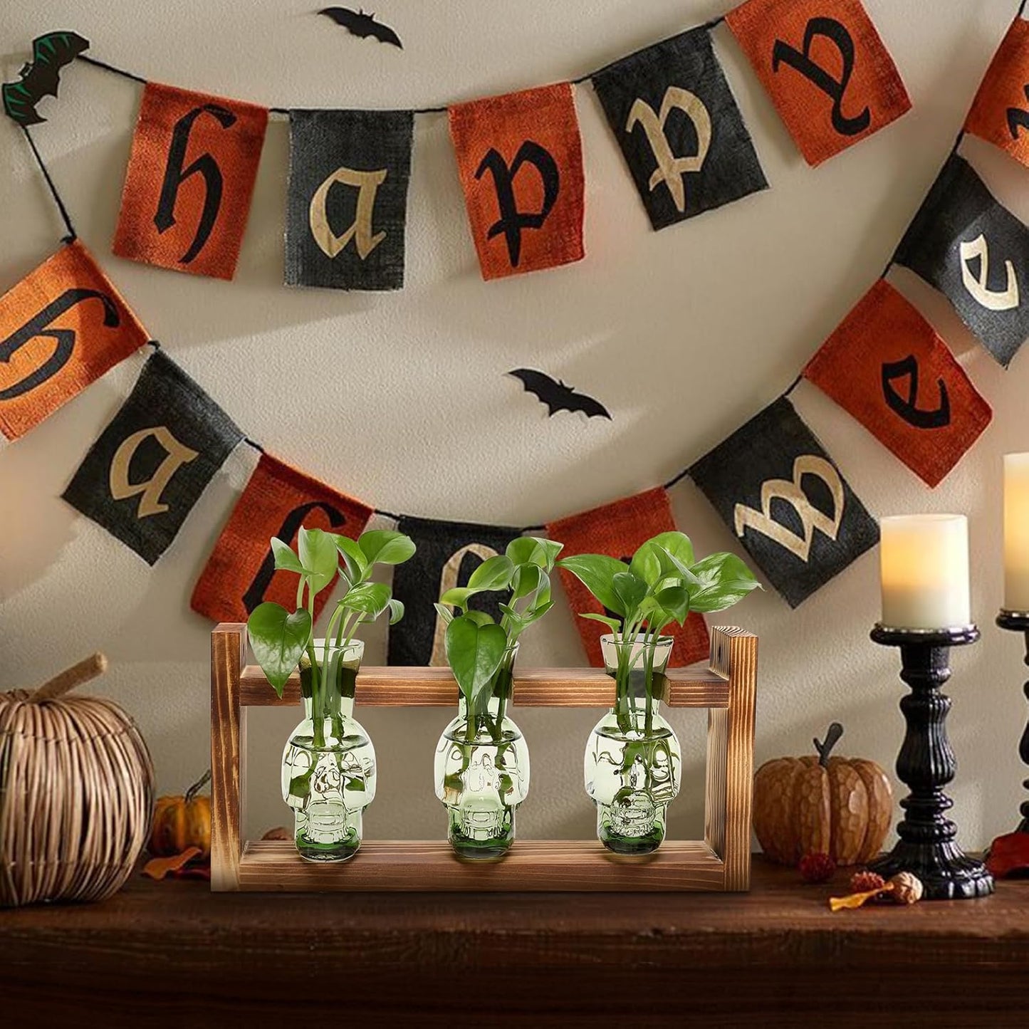 Plant Terrarium Propagation Stations Hydroponics Halloween Skull Planter Vase Skulls Decor with Wooden Stand Gift for Father