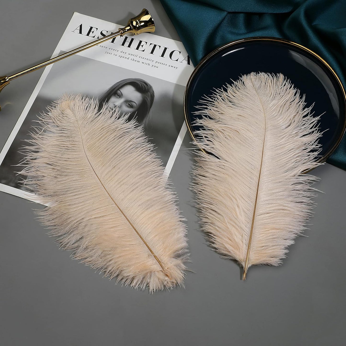 Ballinger Light Salmon Ostrich Feathers - 24pcs 8-10inch Feathers for Crafts，Wedding Party Centerpieces and Home Decor