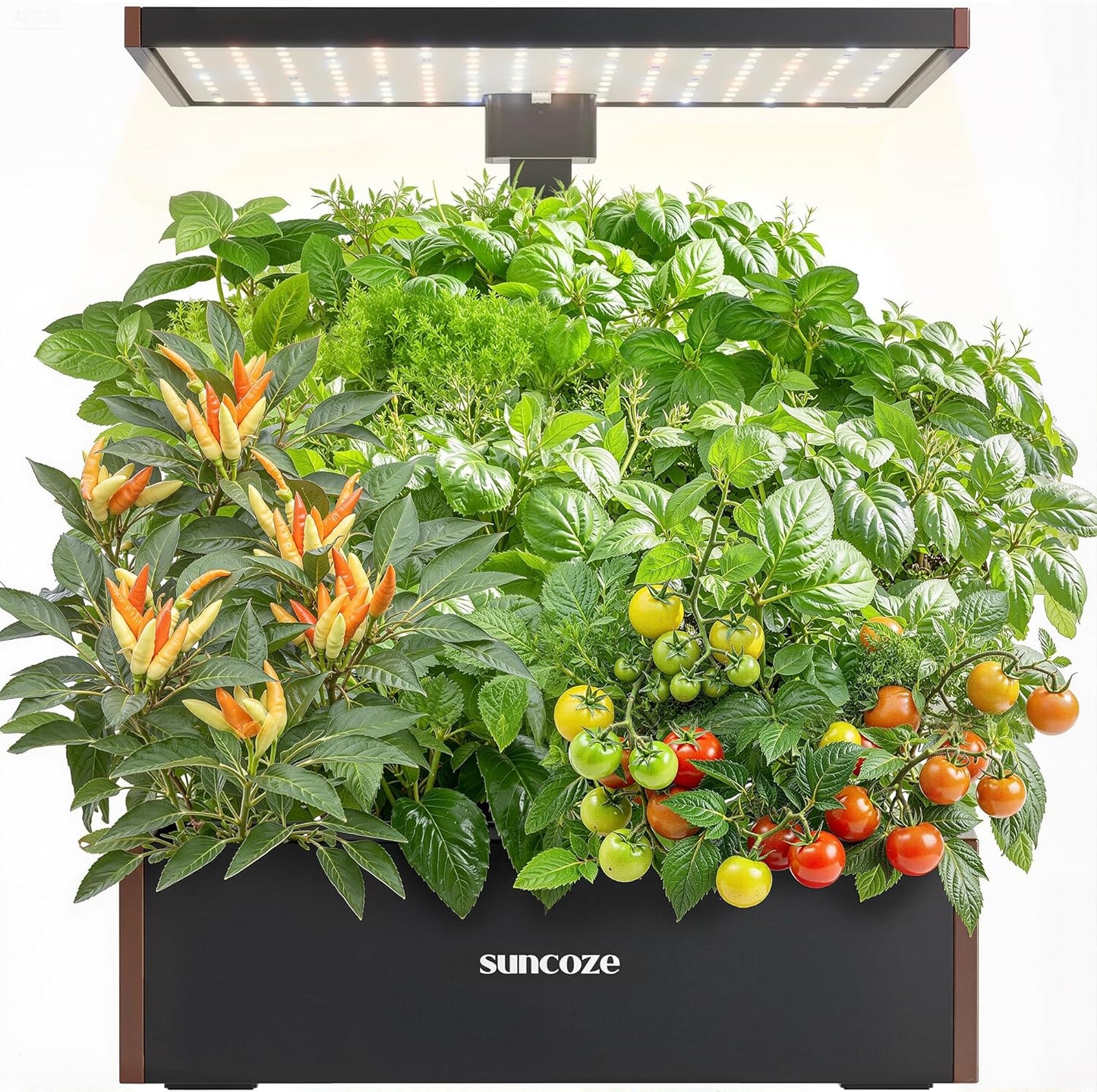 SUNCOZE Hydroponics Growing System Kit, 20 Pods Indoor Herb Garden with 10L Water Tank & Adjustable Height 25", 36W LED Grow Light, LCD Display with Veg/Flower Modes, Pump & Low Water Reminder, Black