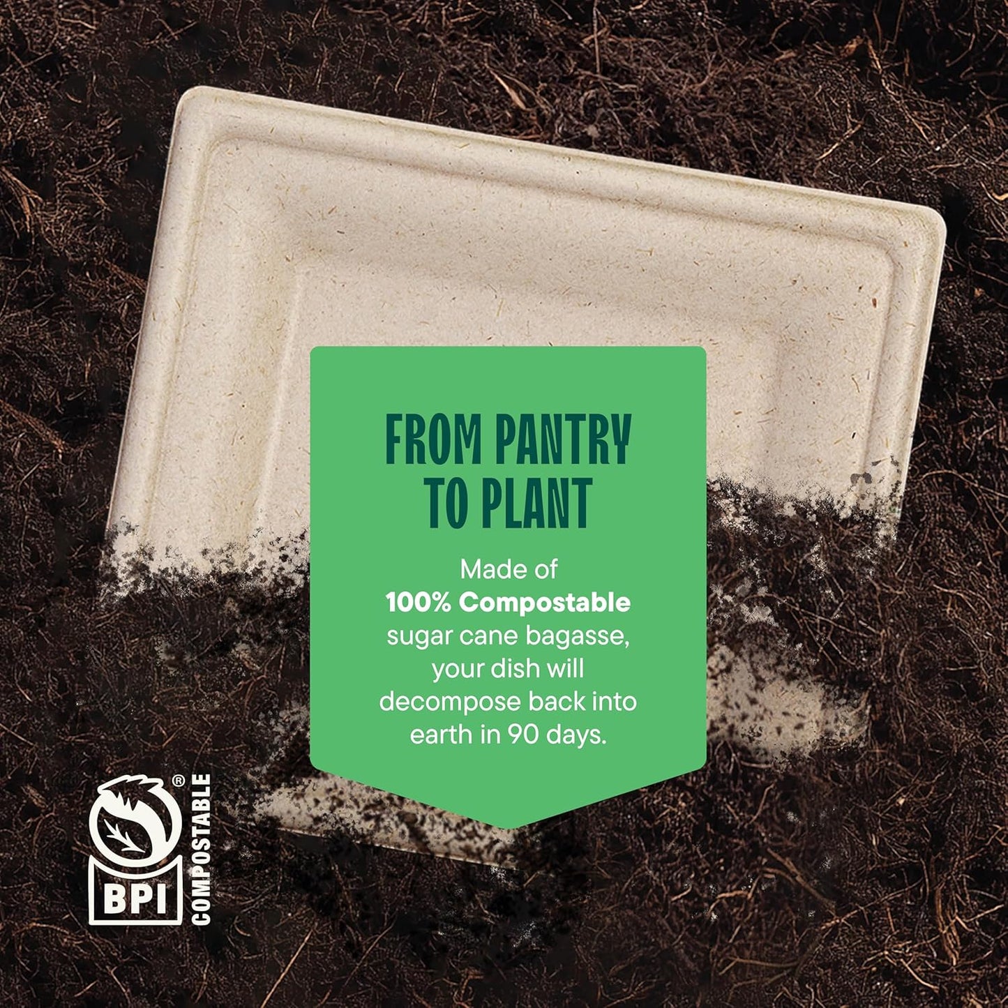 100% Compostable Square Paper Plates [50-Pack] - {PFAS-Free} - {BPI Certified} - [6 Inch] Heavy Duty, Eco-Friendly, Biodegradable Bagasse Dinner Plates - Natural Brown 6" Plate by Stack Man