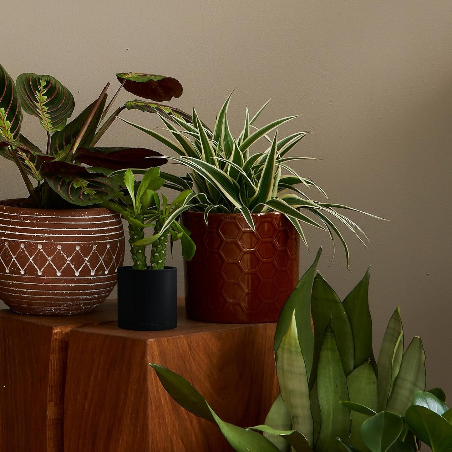 D'vine Dev 2 Pack 4.5 Inch Modern Plastic Plant Pots, Small Garden Planters for Plant with Drainage Holes and Saucers, Black Color, 74-Y-F-1