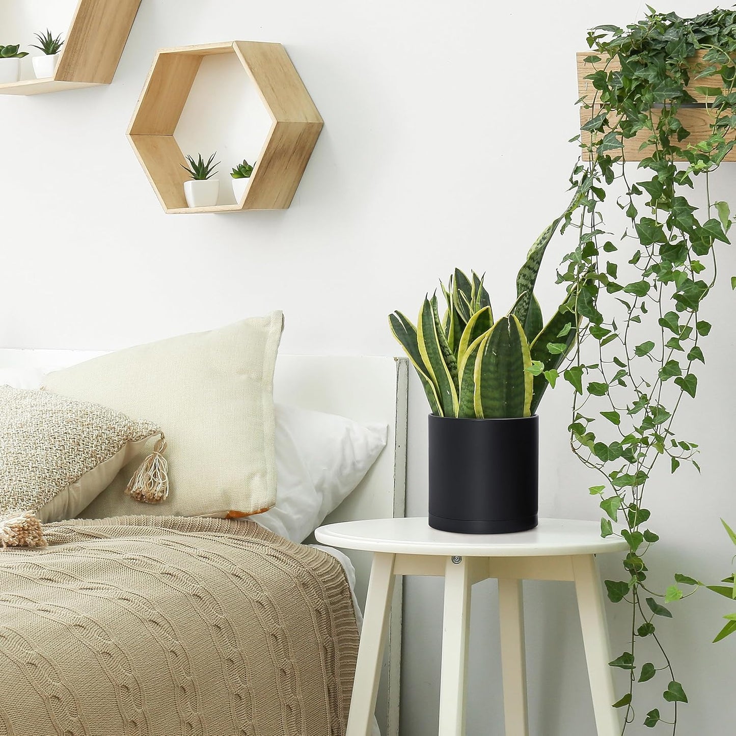 D'vine Dev 4 Pack 6.5 Inch Modern Plastic Plant Pots, Small Garden Planters for Plant with Drainage Holes and Saucers, Black Color, 74-Y-L-2