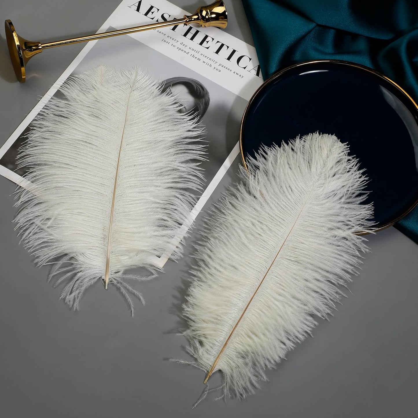 Ballinger Beige Ostrich Feathers Bulk - 24pcs 12-14inch Cream Feathers for Vase,Wedding Party Centerpieces and Home Decor