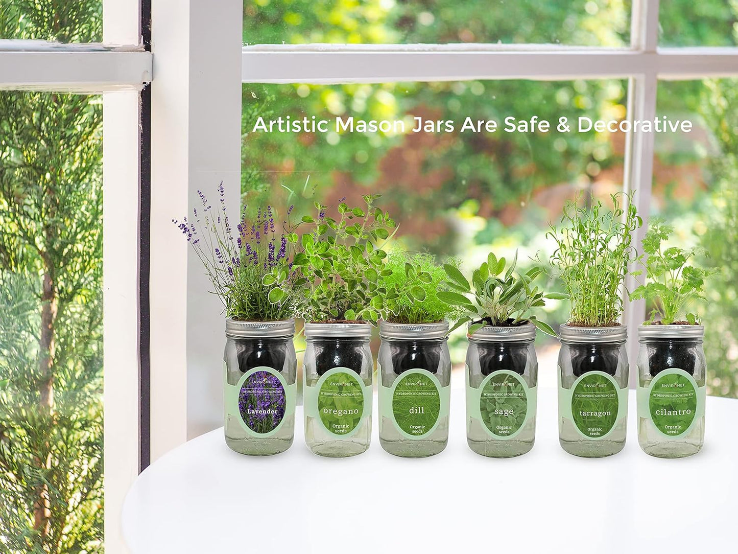 Hydroponic Herb Growing Kit, Self-Watering Mason Jar Herb Garden Starter Kit Indoor, Windowsill Herbs Garden, Grow Your Own Herbs from Organic Seeds (Rosemary)