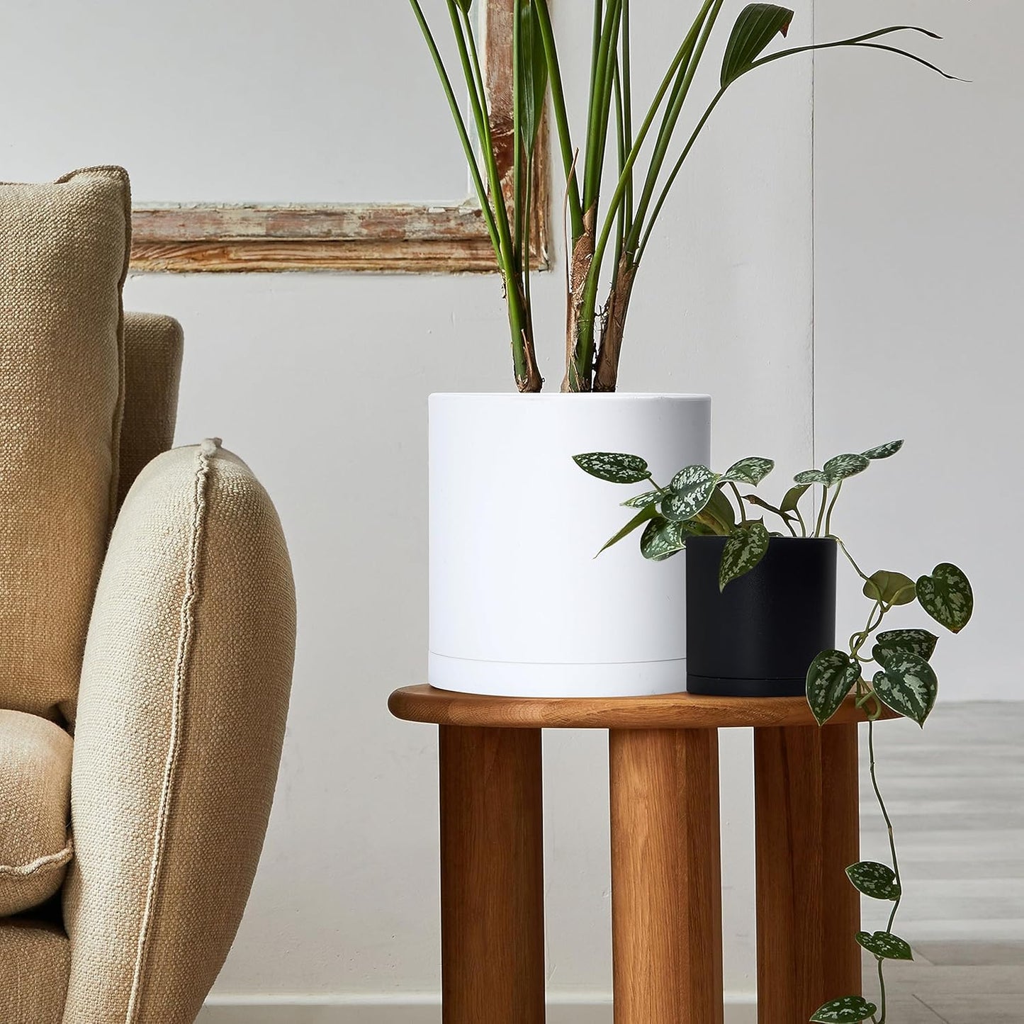 D'vine Dev 6 Pack 5 Inch Modern Plastic Plant Pots, Small Garden Planters for Plant with Drainage Holes and Saucers, Black Color, 74-Y-G-3