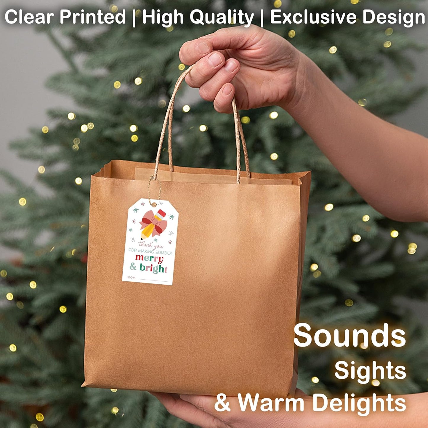 50 Pcs Christmas Gift Tags, 2.1"×3.5" Teacher Gift Tag, Classroom Treat Tag, Teacher Appreciation Hangtag,Wrap for Party Favor - B12