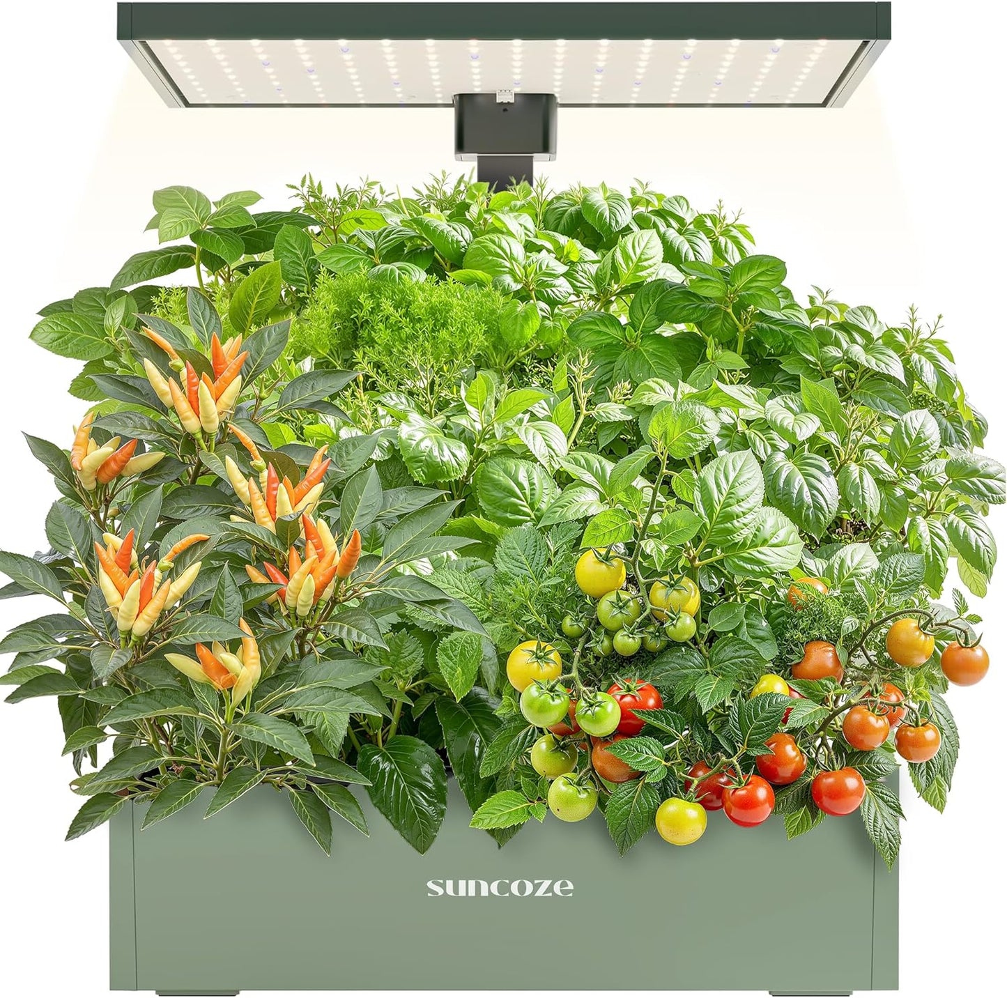 SUNCOZE Hydroponics Growing System Kit, 20 Pods Indoor Herb Garden with 10L Water Tank & Adjustable Height 25", 30W LED Grow Light, LCD Display with Veg/Flower Modes, Pump & Low Water Reminder, Green