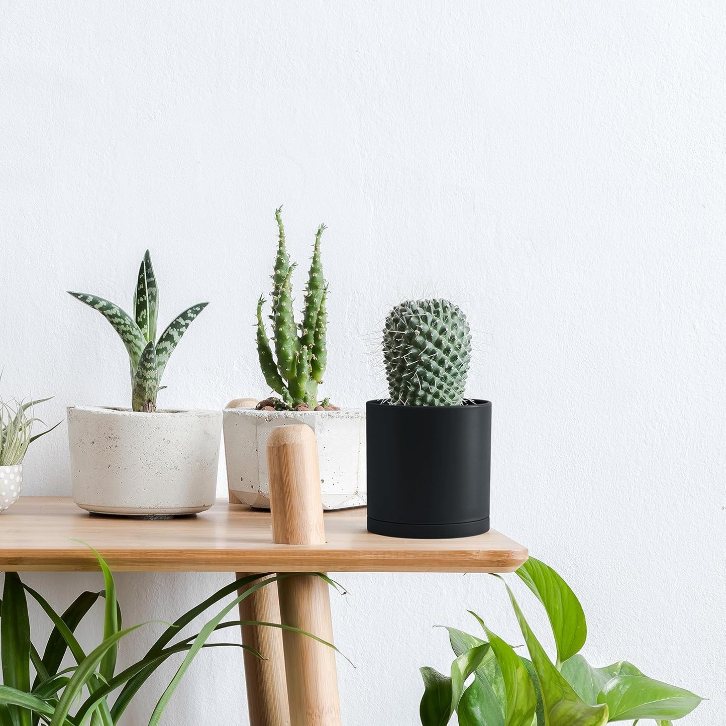 D'vine Dev 4 Pack 4 Inch Modern Plastic Plant Pots, Small Garden Planters for Plant with Drainage Holes and Saucers, Black Color, 74-Y-E-2