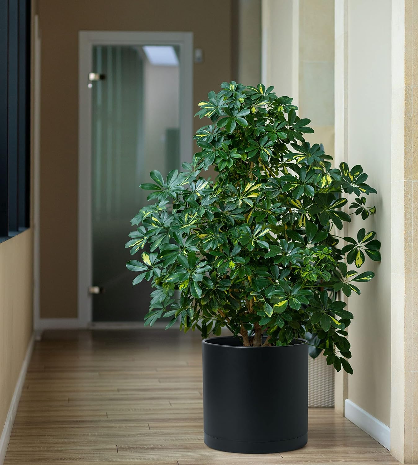 D'vine Dev 2 Pack 12 Inch Modern Plastic Plant Pots, Cylindrical Garden Planters for Plants with Drainage Holes and Saucers, Black, 74-Y-P-1