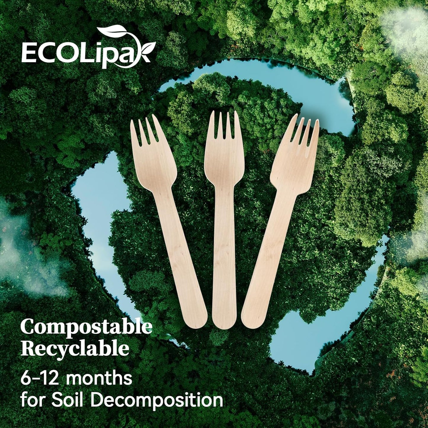 ECOLipak 300 Count Wooden Forks Disposable, Wooden Disposable Compostable Forks for Eating, Party, Camping, Traveling, Family Dinners