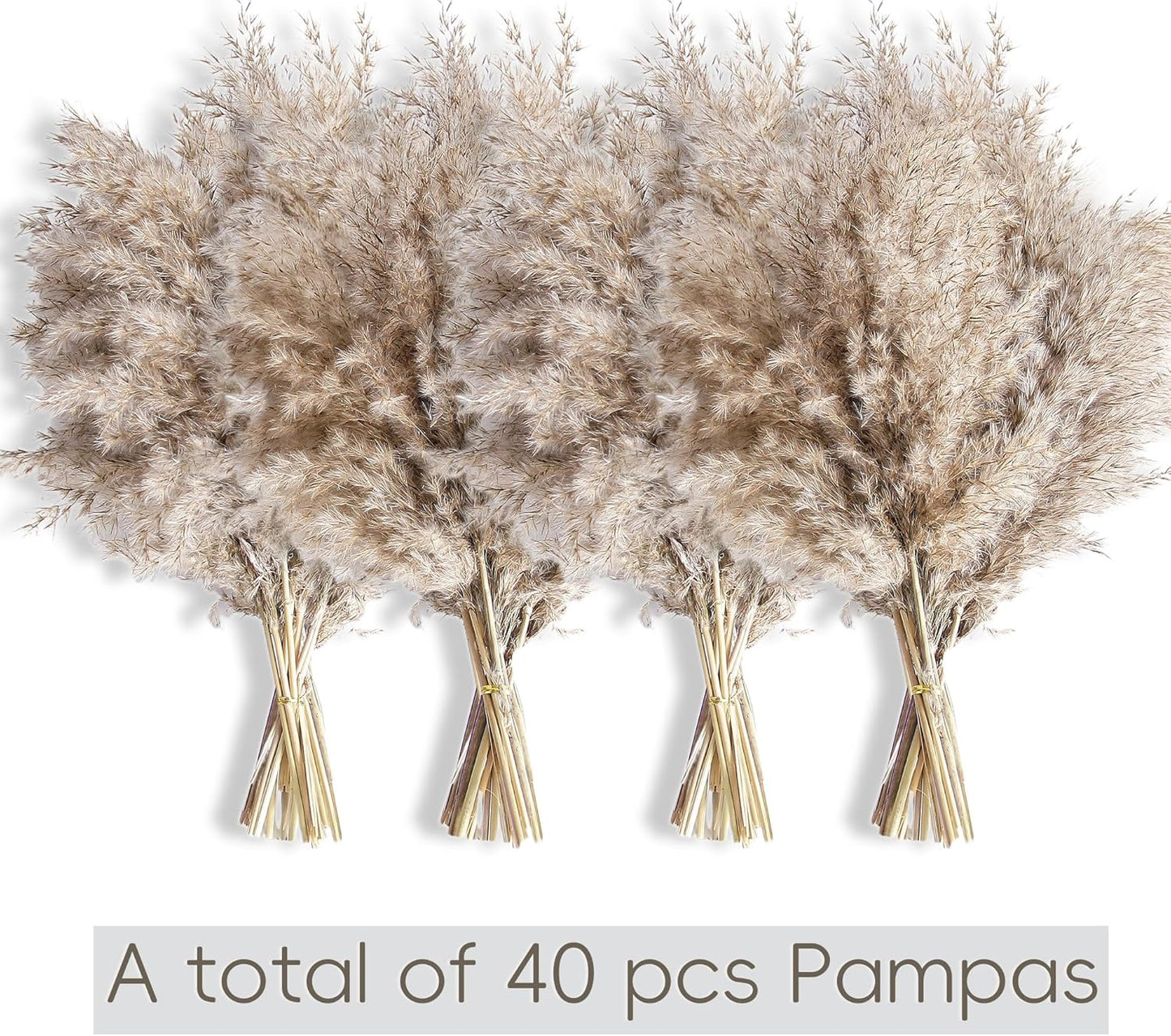 40 PCS Nature Pampas Grass Bouquet Decor - Boho Flowers and Feathers for Centerpieces, Perfect for Floor Vase Fillers, Home Decor, Living Room, and Wedding Decor